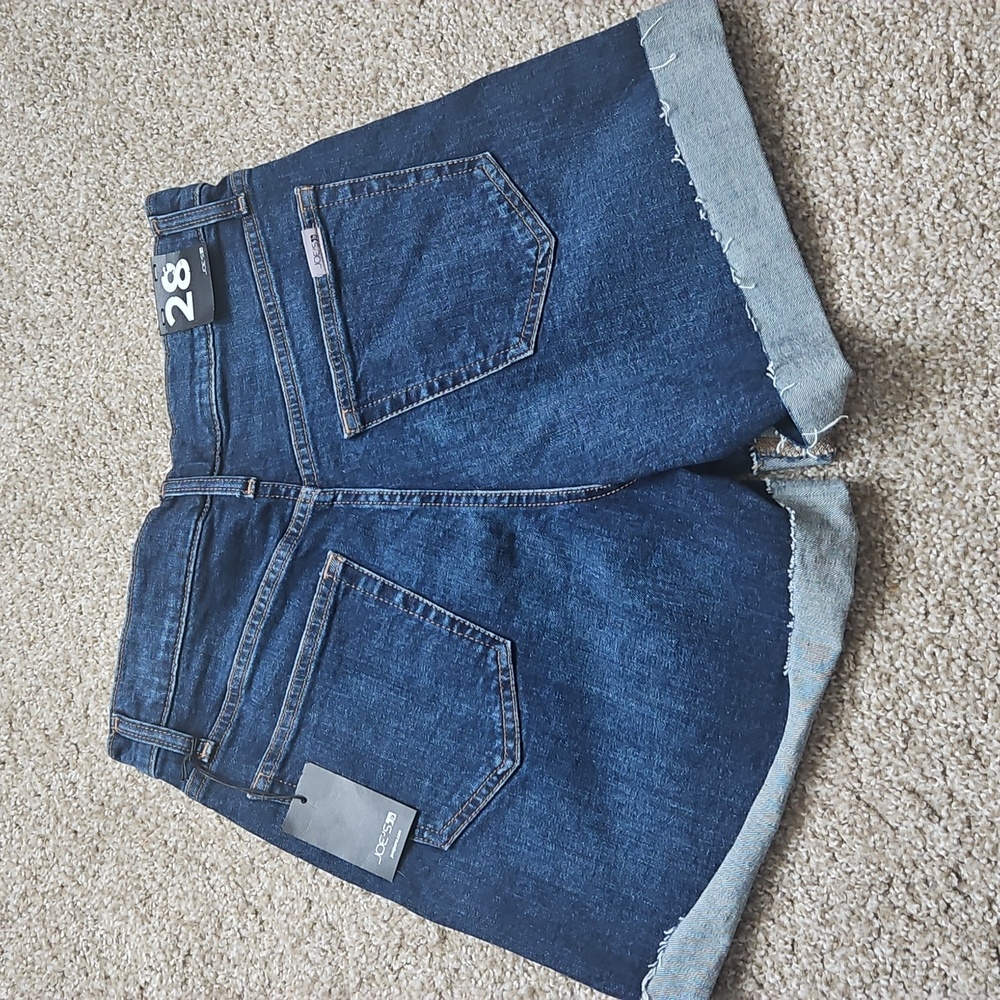 Joes Rolled 5" Latvia Shorts - Picture 5 of 6